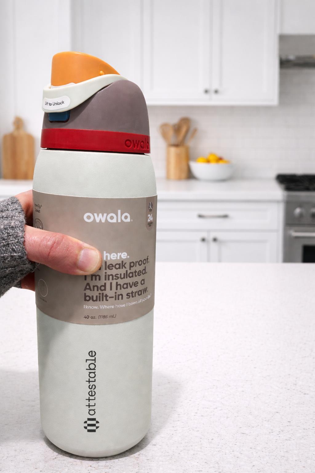 Owala FreeSip® Insulated Stainless Steel Water Bottle – 40 oz (Boneyard)